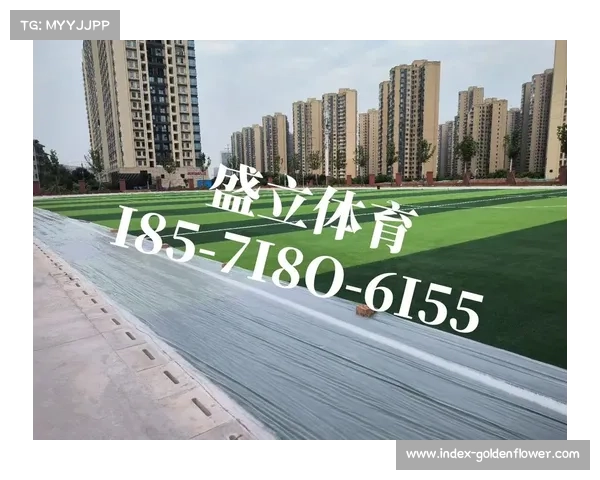人工草皮标准纳入中乙准入条件的意义与实施路径分析 人工草皮标准纳入中乙准入条件的意义与实施路径分析